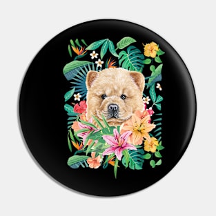 Tropical Cinnamon Chow Chow Puppy 1 Pin