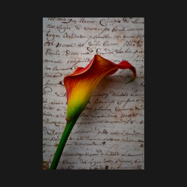 Old Letters And Calla Lilies by photogarry