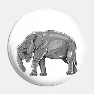 Elephant Pin