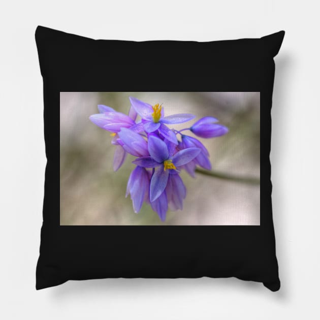 Vanilla lily Pillow by Michaelm43