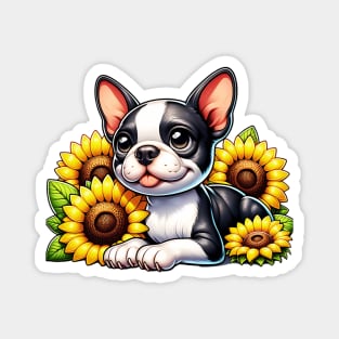Boston Terrier And Sunflowers Magnet
