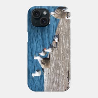 Caspian Terns and Gulls on a Dock. Phone Case