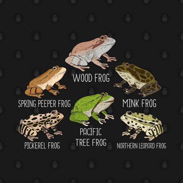 Frog Species Frog Breeds Herping Amphibians Frogs by PomegranatePower