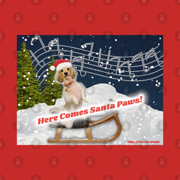 Here Comes Santa Paws (Starring @BB.LITTLE.LEROY.BROWN) by Long-N-Short-Shop