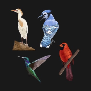 East Cost Birds Detailed Illustration Four Pack (Egret, Blue Jay, Hummingbird, Cardinal) T-Shirt