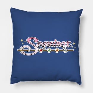 Sequinox Pillow