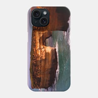 Muttonbird Island Phone Case