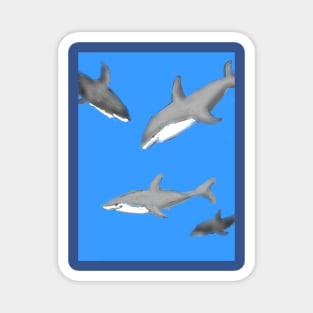 Sharks! Magnet