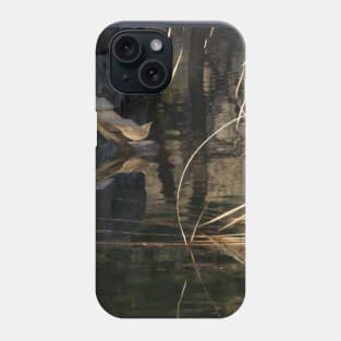 Reflections Phone Case