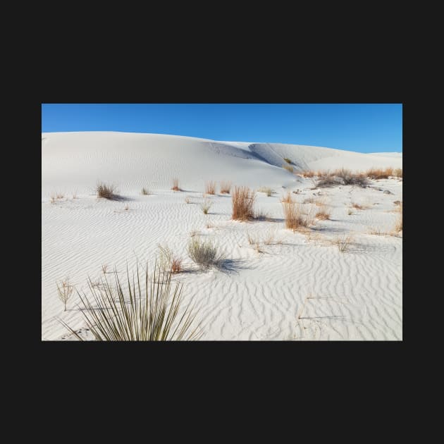 White Sand Dunes by jvnimages