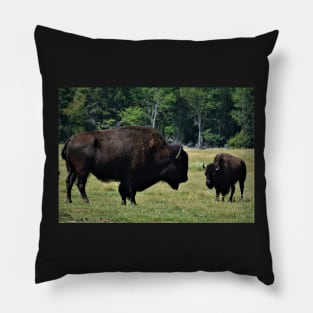 Buffalo's in Prince Edward Island Pillow