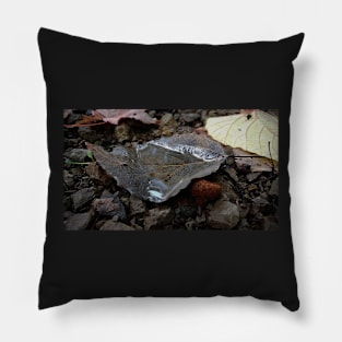 Rain Filled Leaf Pillow