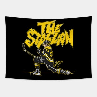 Charlie McAvoy The Stallion Tapestry