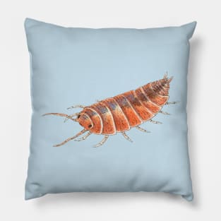 Porcellionides pruinosus "Orange" Isopod Pillow