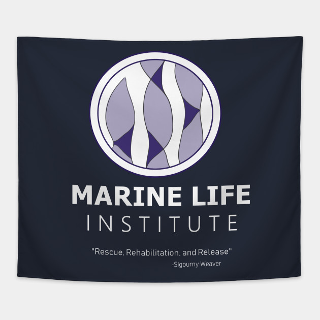 marine life institute finding dory