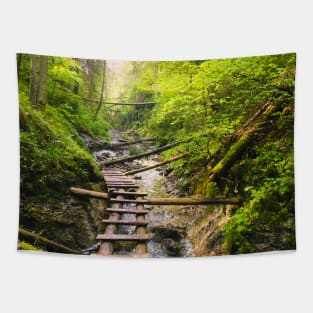 National Park Tapestry