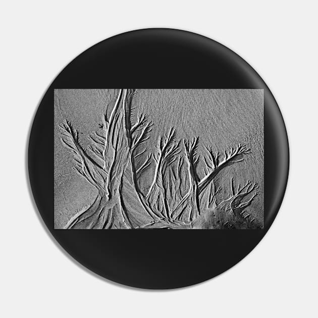 La forêt de sable Pin by rollier