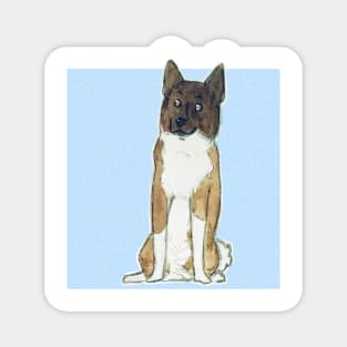 Akita inu Magnet