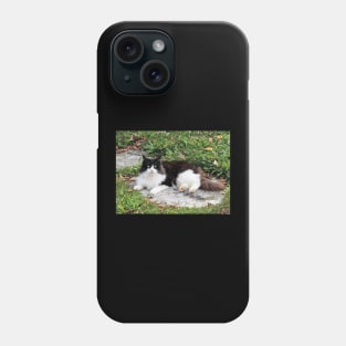 cat Bella Phone Case