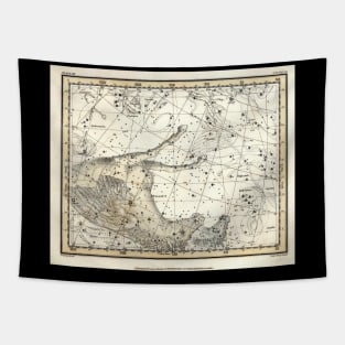 Pegasus Constellation - Alexander Jamieson Tapestry