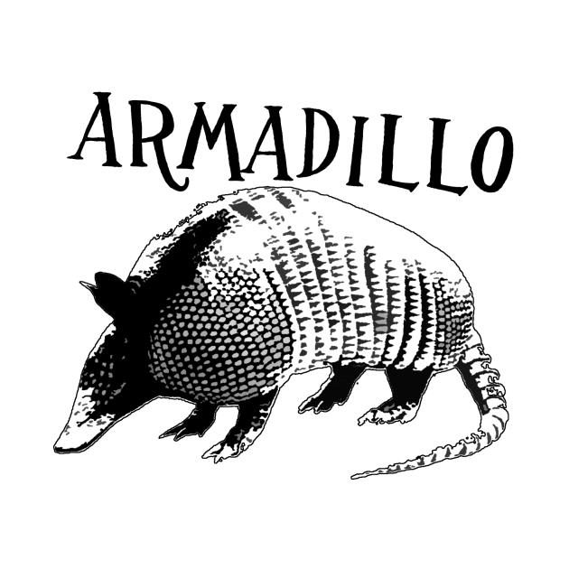 Armadillo by SimpleJeff