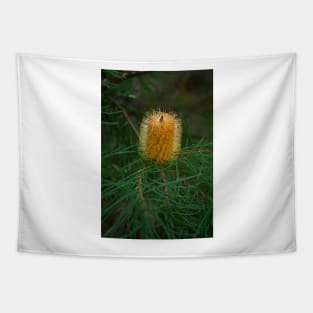 Hairpin Banksia Tapestry