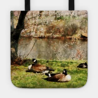 Geese - Geese Under Flowering Tree Closeup Tote