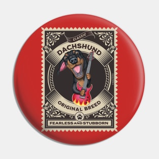 Funny dachshund doxie with guitar in golden circle Pin