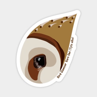 Barn Owl (Small Text) Magnet