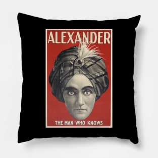 Alexander the Man Who Knows Pillow