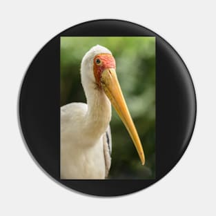 Yellow Billed Stork Pin