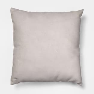 Stone Neutral Earthy Warm Grey Pillow