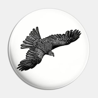 Flying black kite bird Pin