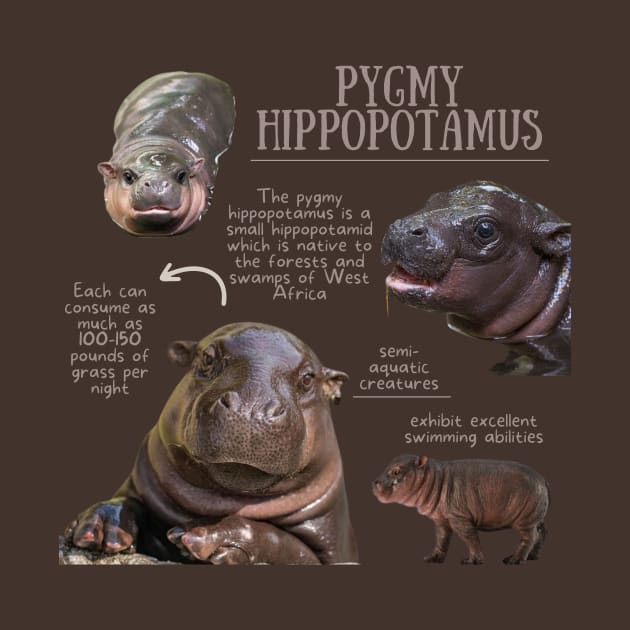 Animal Facts - Pygmy Hippopotamus by Animal Facts and Trivias