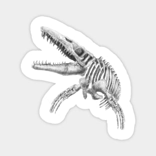 mosasaurus skeleton Magnet