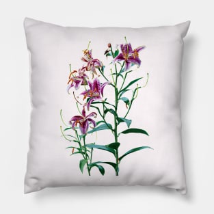 Stargazer Lily Plants Pillow