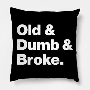 Old & Dumb & Broke Pillow