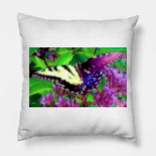 Gynandromorph Butterfly Pillow