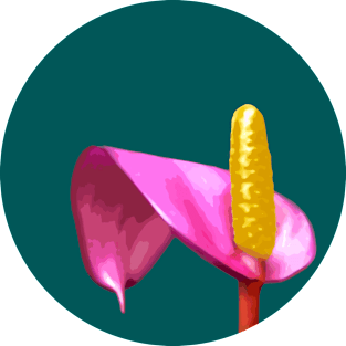 Anthurium Magnet