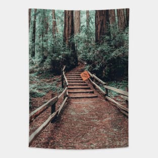 Muir Woods in California Tapestry