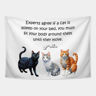 Experts agree if a cat is asleep on you, you must fit your body around them - funny watercolour cat design Tapestry