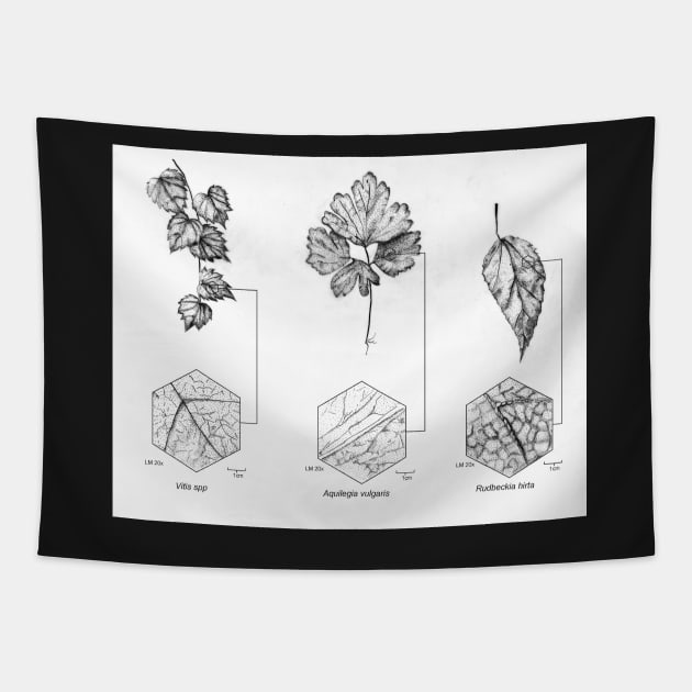 Pen and Ink Traditional Botanical Illustration Tapestry by emadamsinc