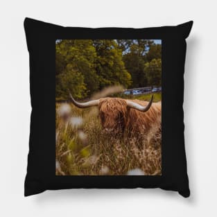 Scottish Highland Bull | Unique Beautiful Travelling Home Decor | Phone Cases Stickers Wall Prints | Scottish Travel Photographer  | ZOE DARGUE PHOTOGRAPHY | Glasgow Travel Photographer Pillow