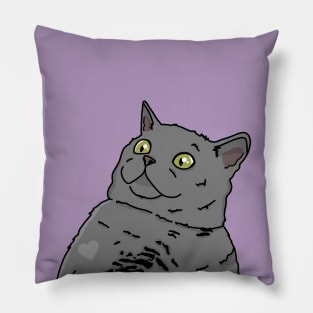 Shocked Cat Pillow