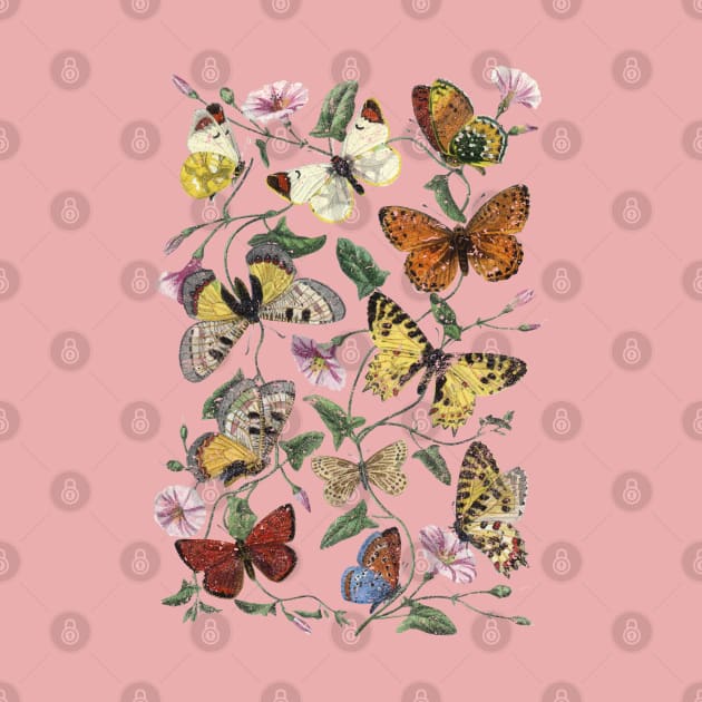 Vintage Butterflies by Pith & Vinegar