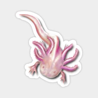Illustrated Albino Axolotl Magnet