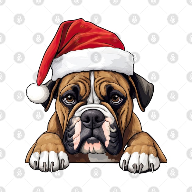 Christmas Peeking Boxer Dog by Chromatic Fusion Studio