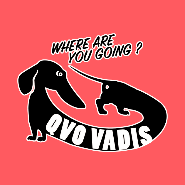 WHERE ARE YOU GOING ? QVO VADIS by artebus