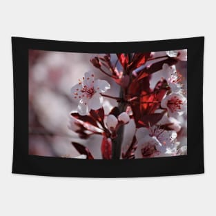 Japanese Cherry Tree (#2) Tapestry