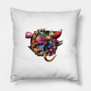 Fruit Vendor Pillow